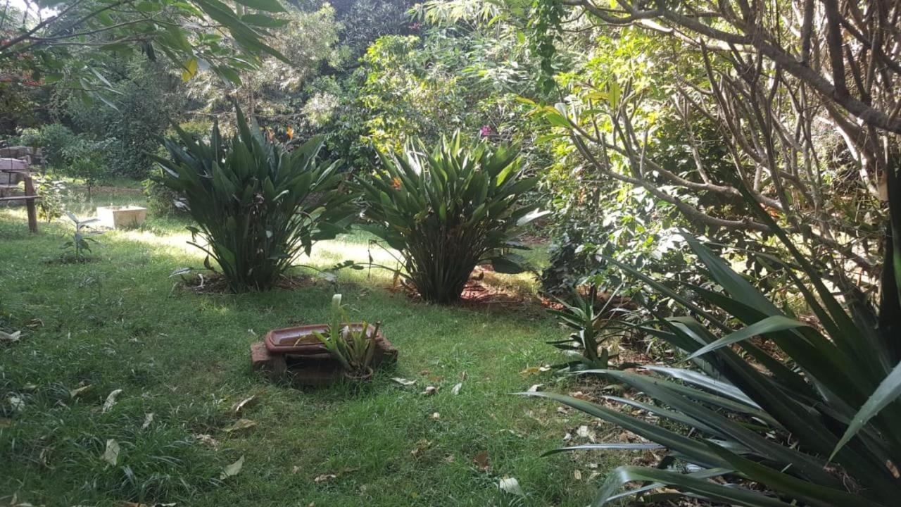 The Cottage-Place Of Grace 2Bdrm And Loft Bed All 4U At Usd58 Nairobi Exterior foto