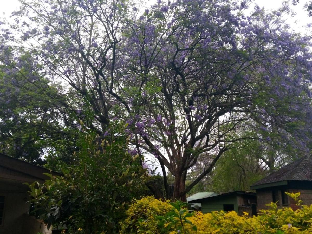 The Cottage-Place Of Grace 2Bdrm And Loft Bed All 4U At Usd58 Nairobi Exterior foto