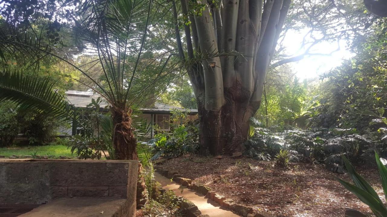 The Cottage-Place Of Grace 2Bdrm And Loft Bed All 4U At Usd58 Nairobi Exterior foto